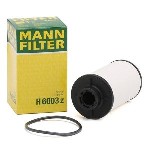 H 6003 Z